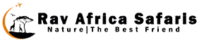 Rav Africa Safaris