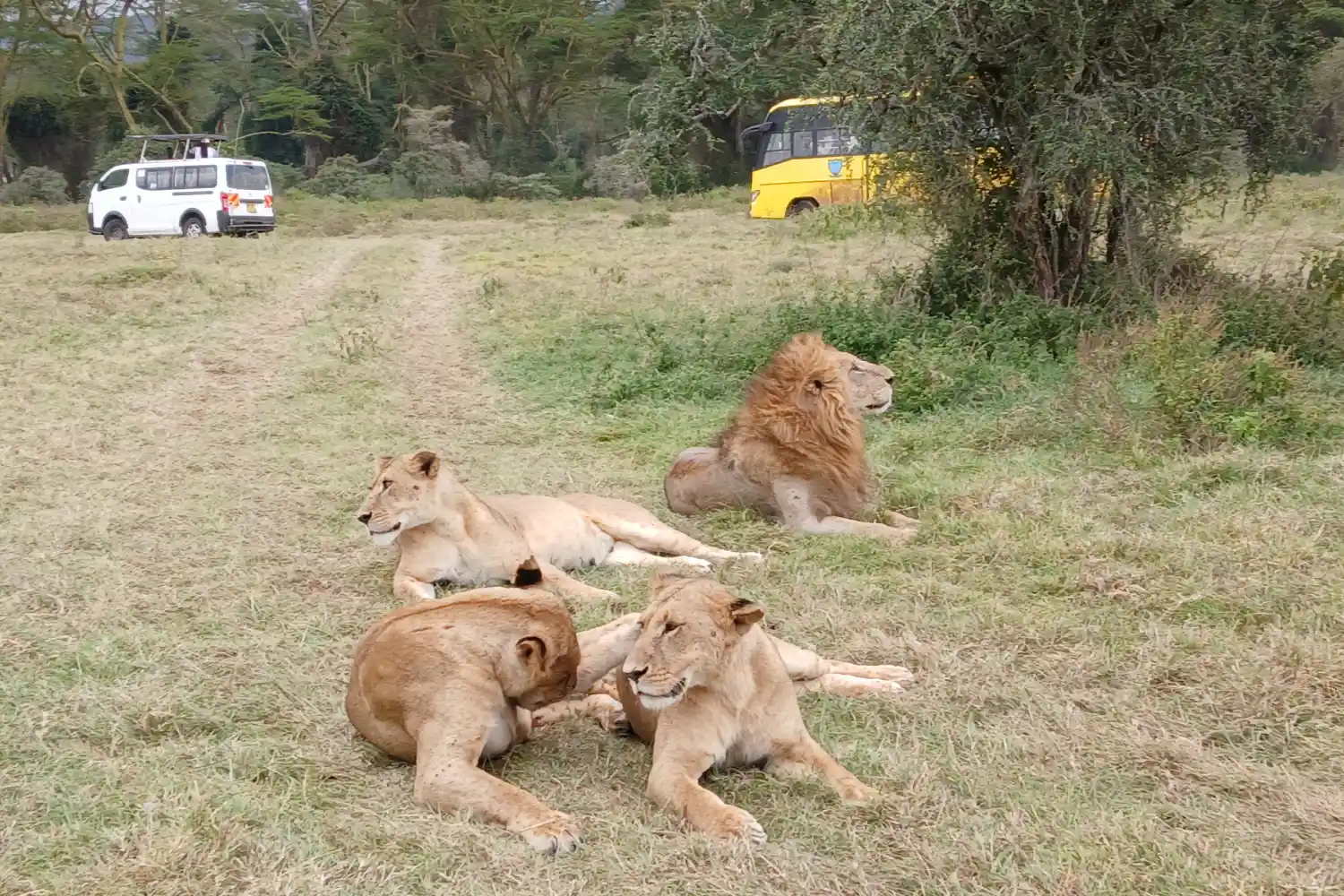 Rav Africa Safaris Gallery (3)