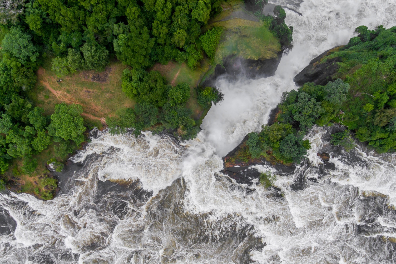 The Ultimate Uganda Primate & Nile Expedition